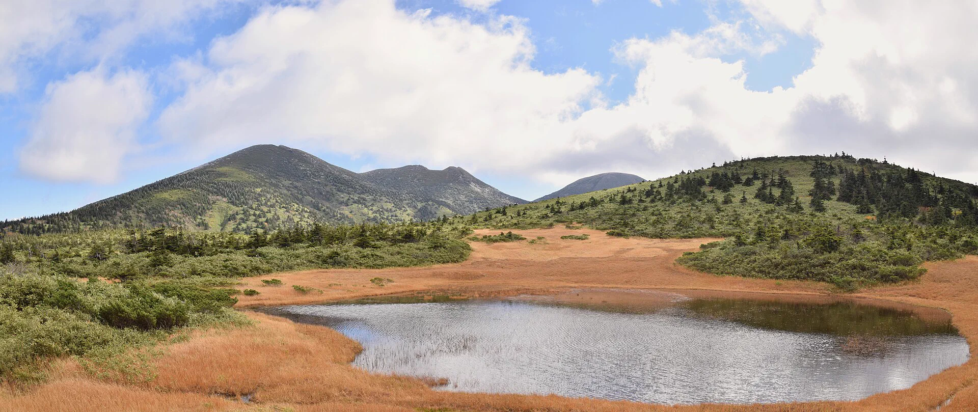 Forêts d’automne de moyenne altitude autour de Sukayu et Jōgakura, utiles lorsque le sommet devient moins fiable