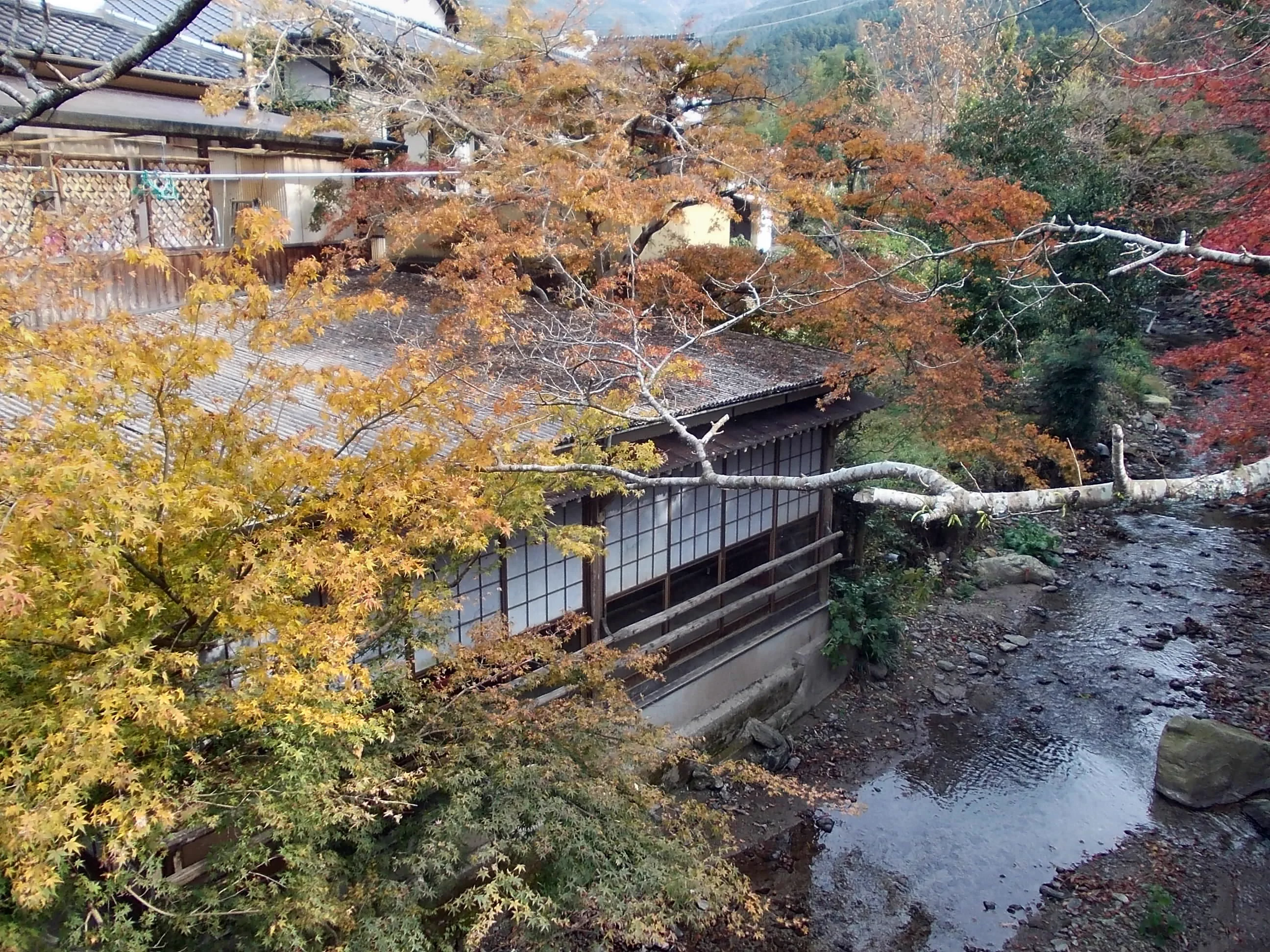 Les rues anciennes d’Akizuki et le paysage fluvial automnal à Fukuoka, le retour étant contrôlé par les bus locaux.