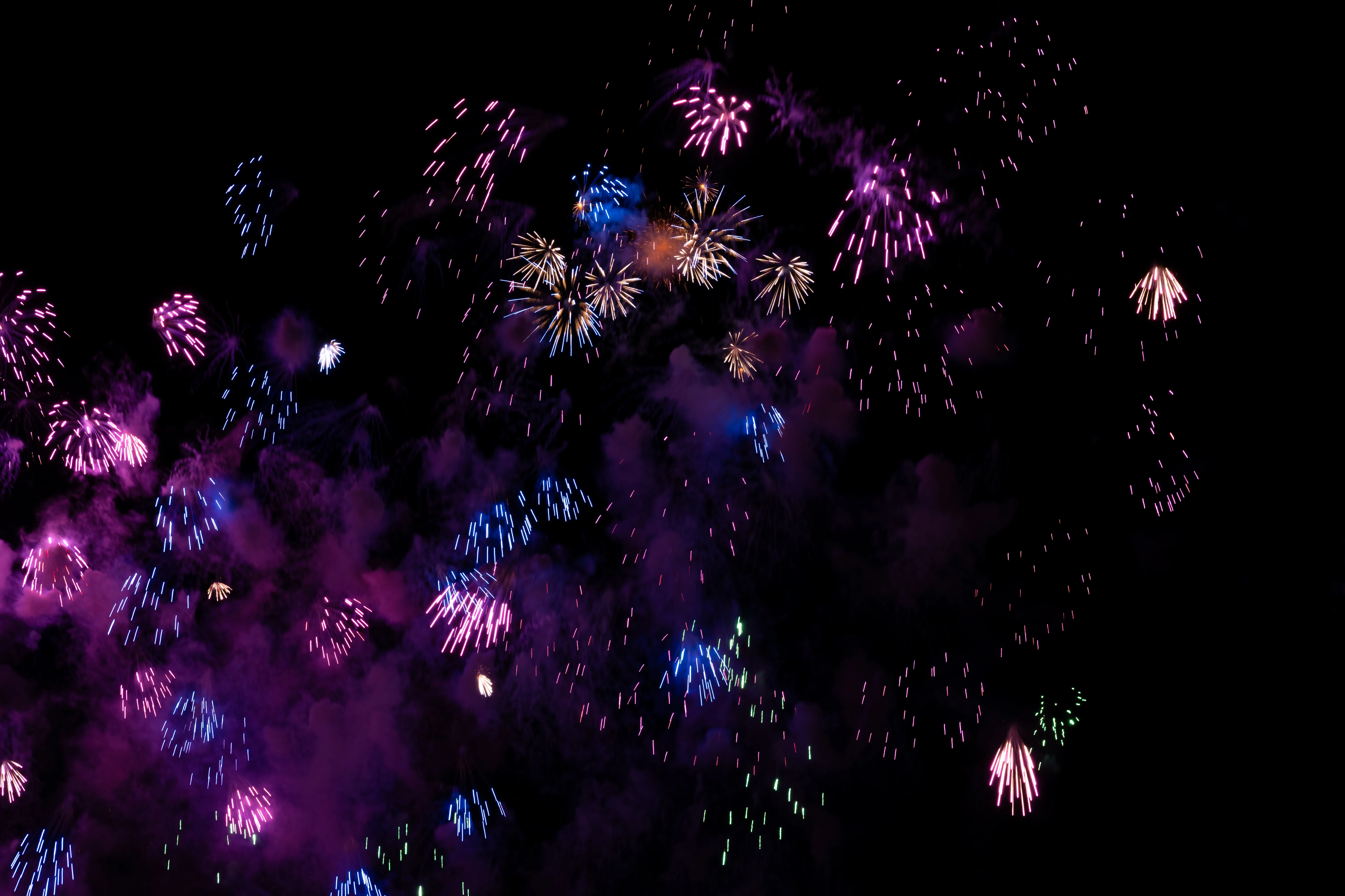 Grand feu d’artifice multicolore d’Edogawa dans le ciel, vu depuis les spectateurs de la berge