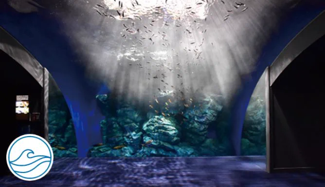 Fukuoka Marine World, zone de l'océan proche de Kyushu, recrée différents environnements marins de Kyushu.