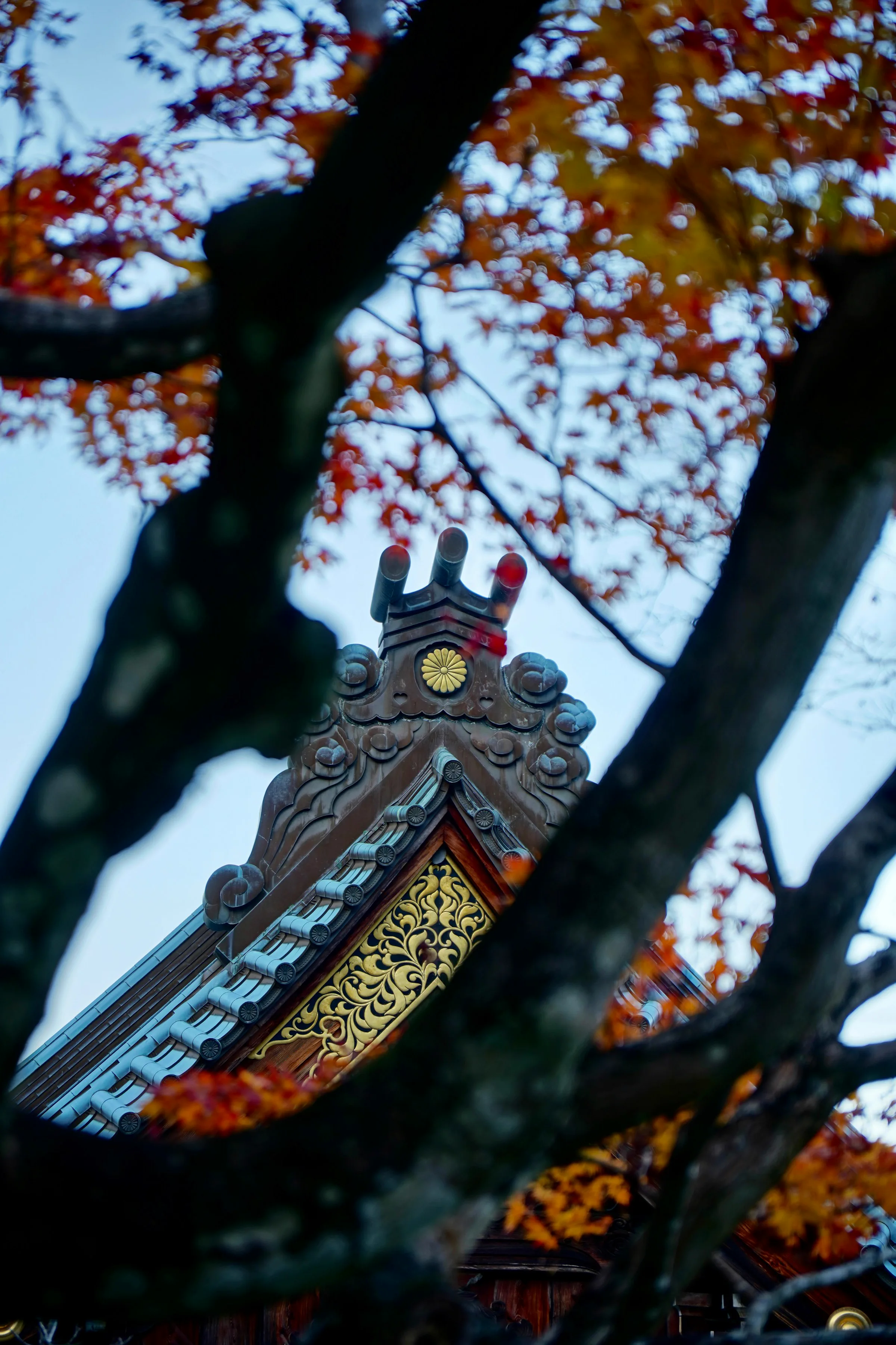 Les feuilles d'érable rouges près de l'architecture traditionnelle du Daishō-in à Miyajima, parfaites pour un séjour automnal de deux jours et une nuit à Miyajima, Hiroshima.