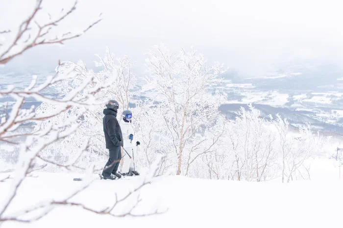 Paysage enneigé du domaine skiable de Niseko