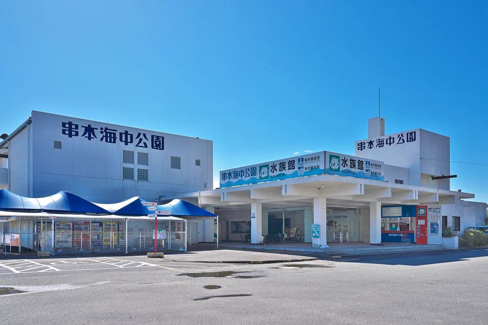 Faune marine observée à Kushimoto