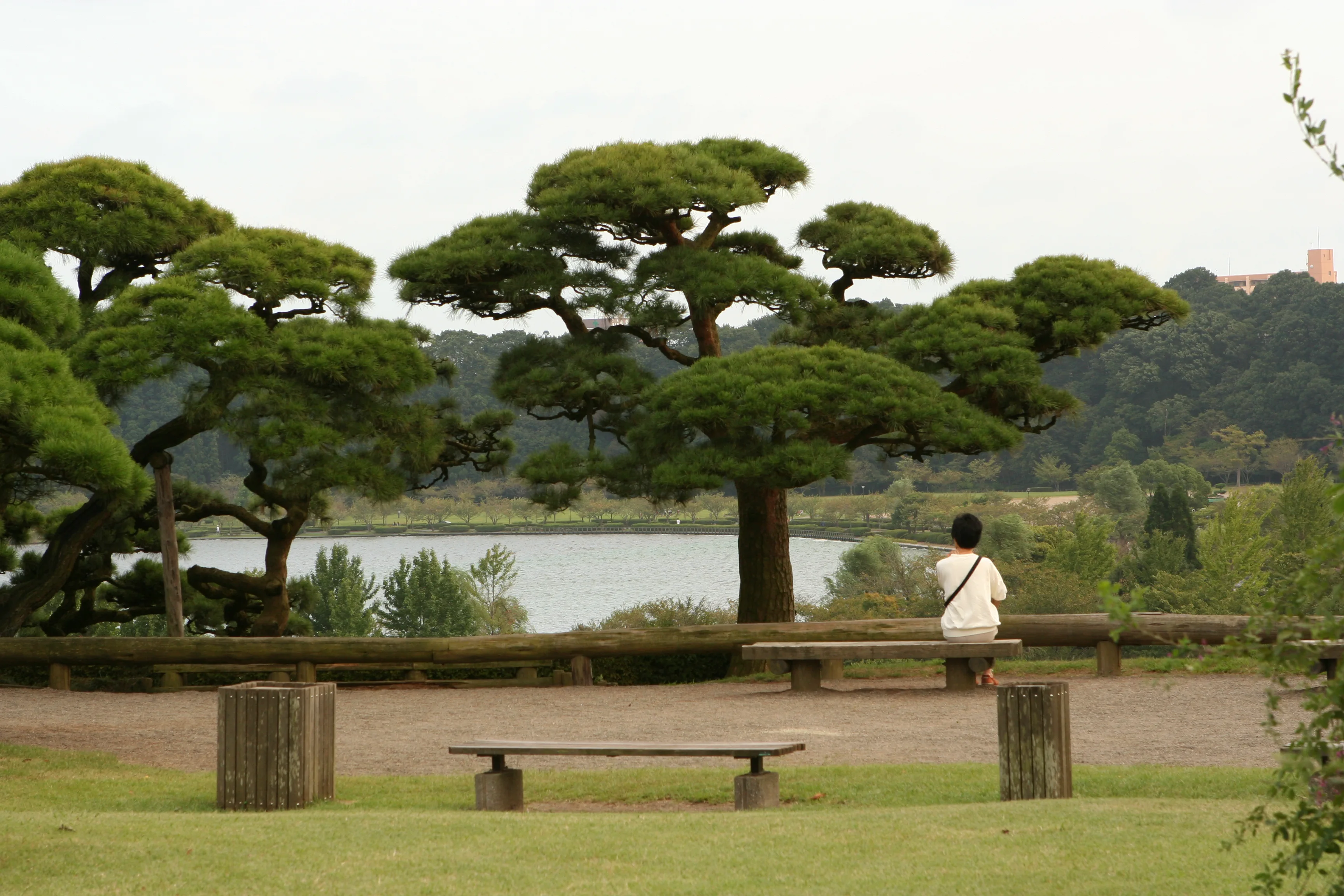 Mito ou Oarai : où dormir sans voiture pour Kairakuen, le lever du soleil et le ferry ?