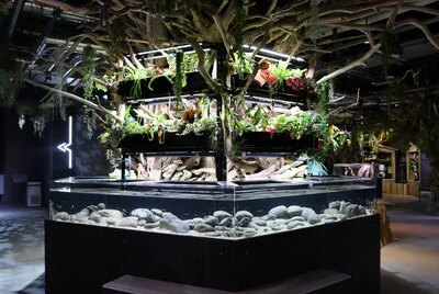 Aquarium átoa à Kobe