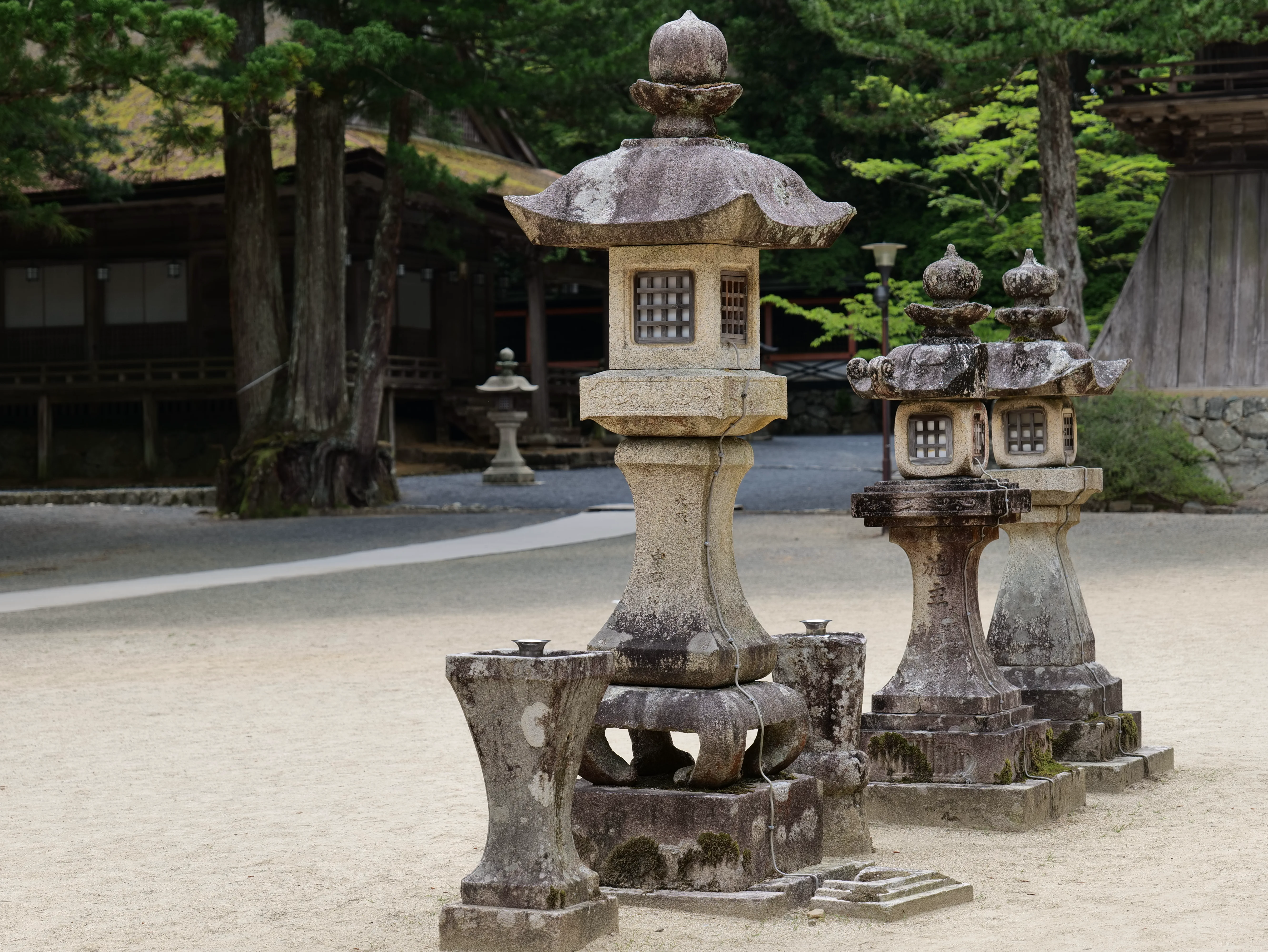 Les bâtiments principaux du mont Koya, Kongobu-ji, avec les feuilles d'automne.