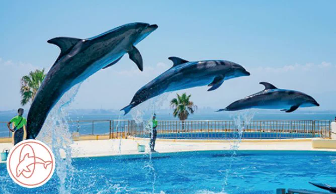 Bassin de spectacle de Marine World Uminonakamichi