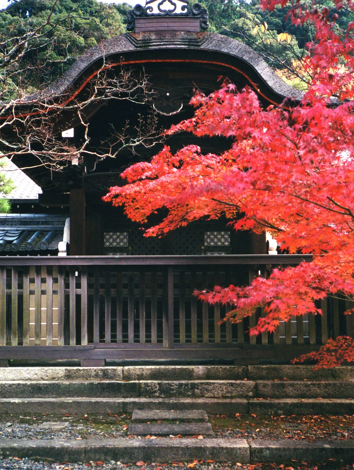 Sanmon d’Eikandō et entrée automnale du temple, avec billetterie et files