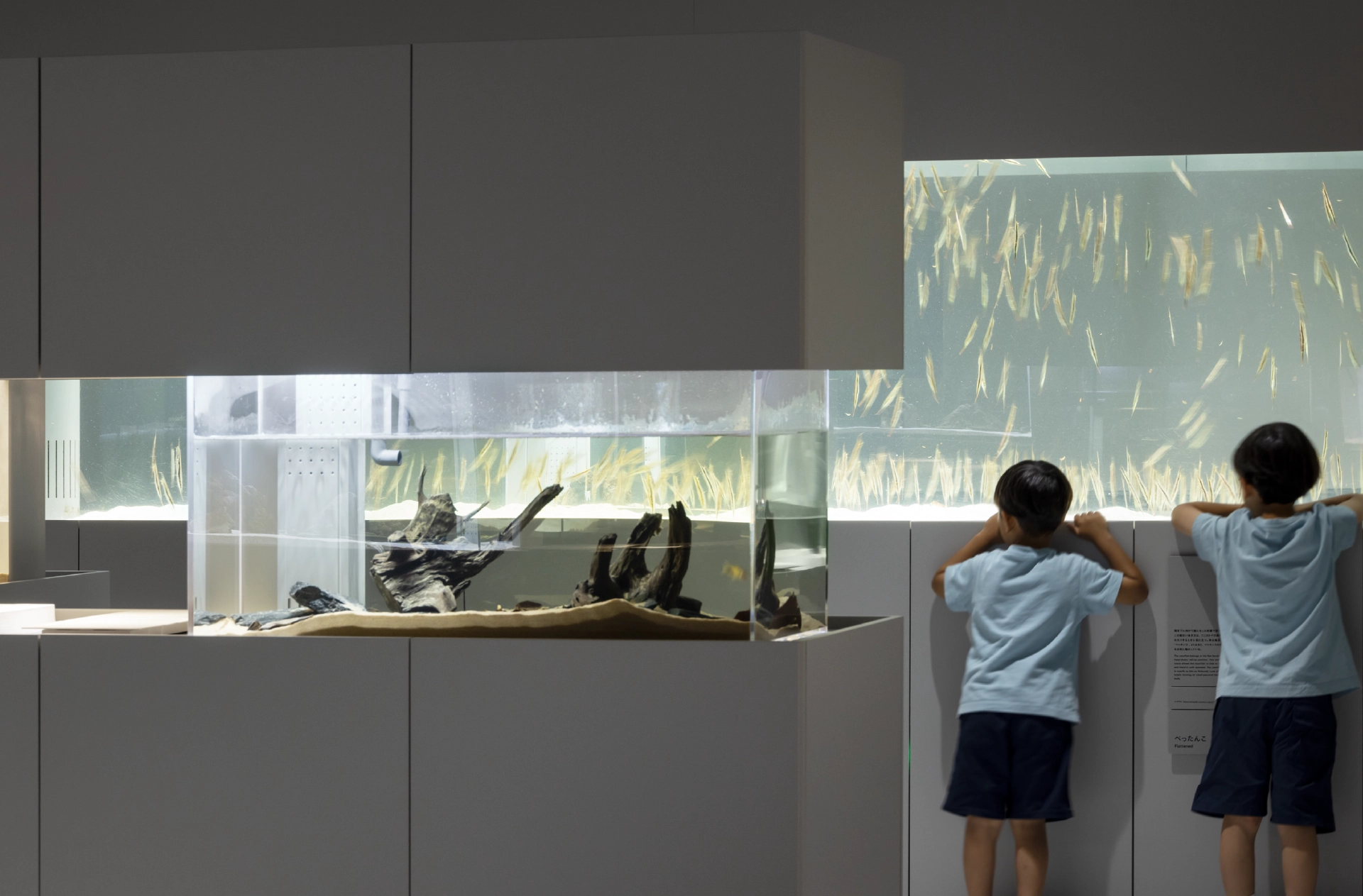Bibliothèque Aquarium et bassins d’observation au 5e étage d’AOAO SAPPORO
