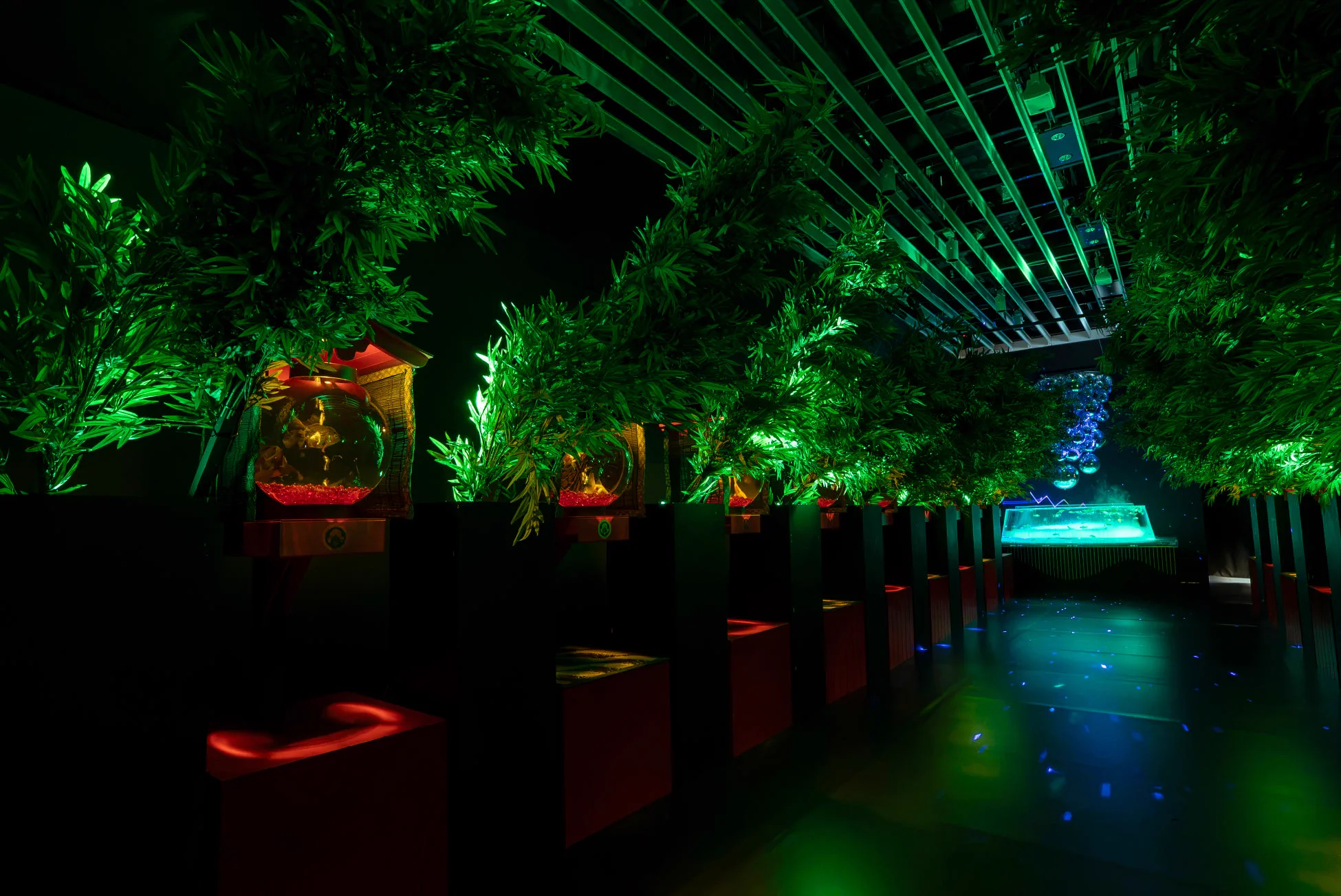 Œuvre de l’Art Aquarium Nagoya dans une rue de lanternes