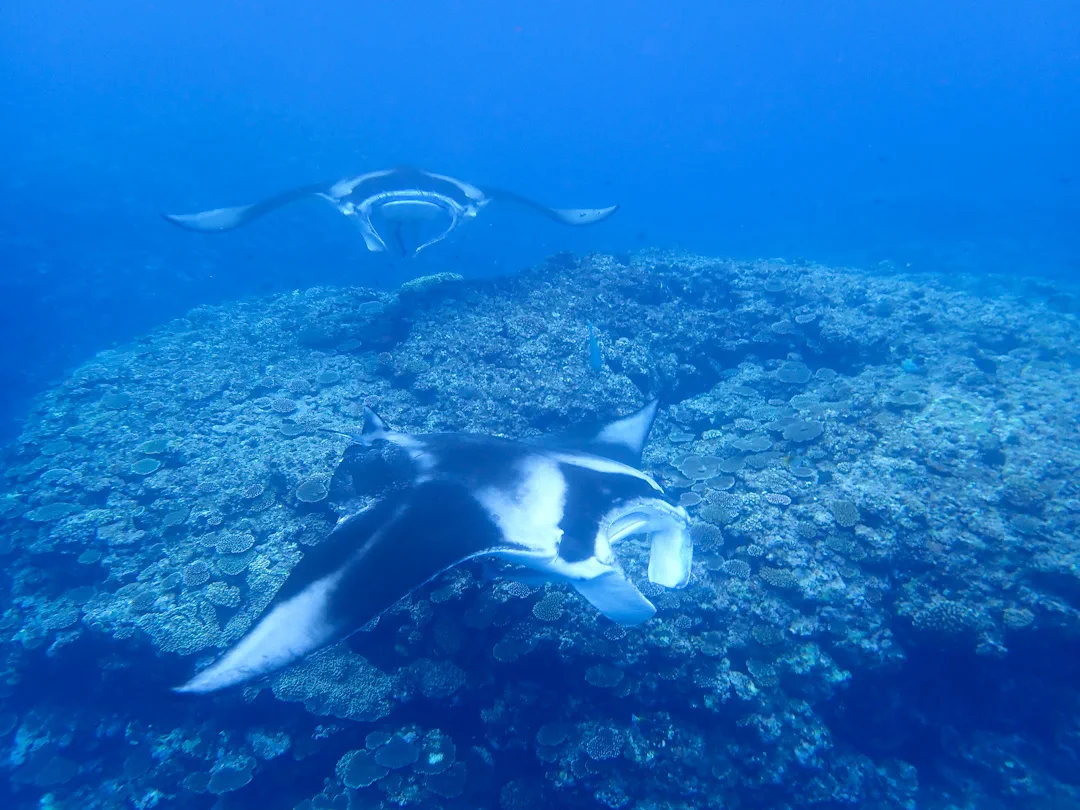 Baie de Kabira à Ishigaki : vent et vagues peuvent modifier l’accès à Manta Point