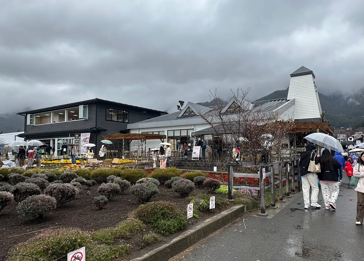 Parc Oishi au bord du lac Kawaguchi, avec le mont Fuji en arrière-plan