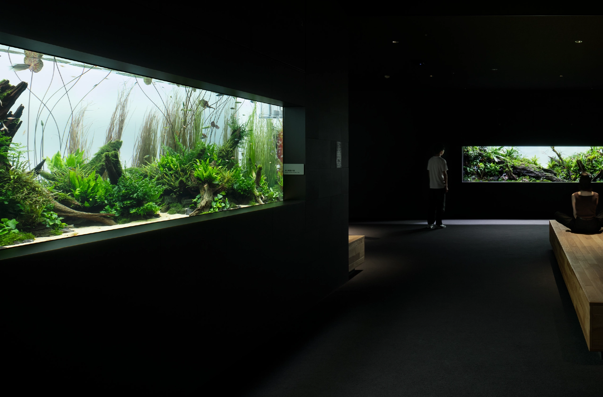 Nature Aquarium au 5e étage d’AOAO SAPPORO