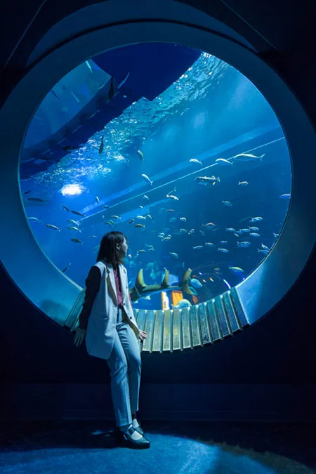 Grande fenêtre ronde devant un bassin du DMM Kariyushi Aquarium