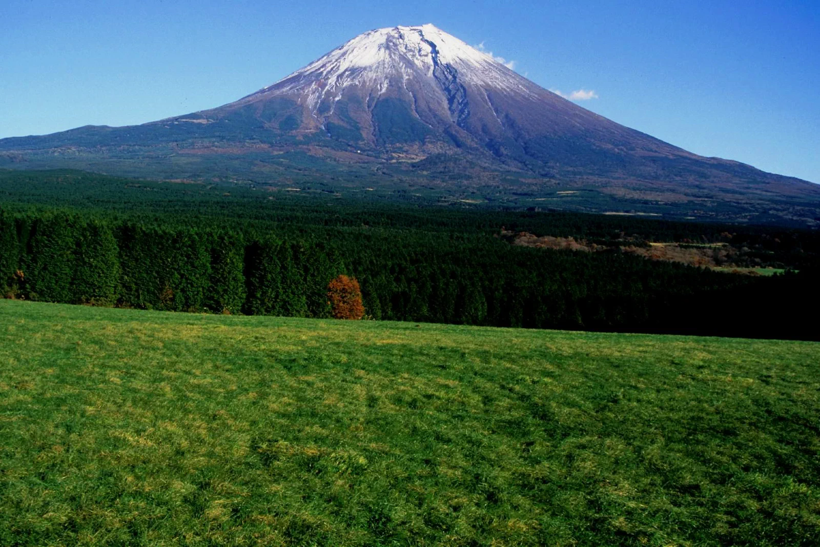 Plateau d’Asagiri au pied du mont Fuji, côté Shizuoka