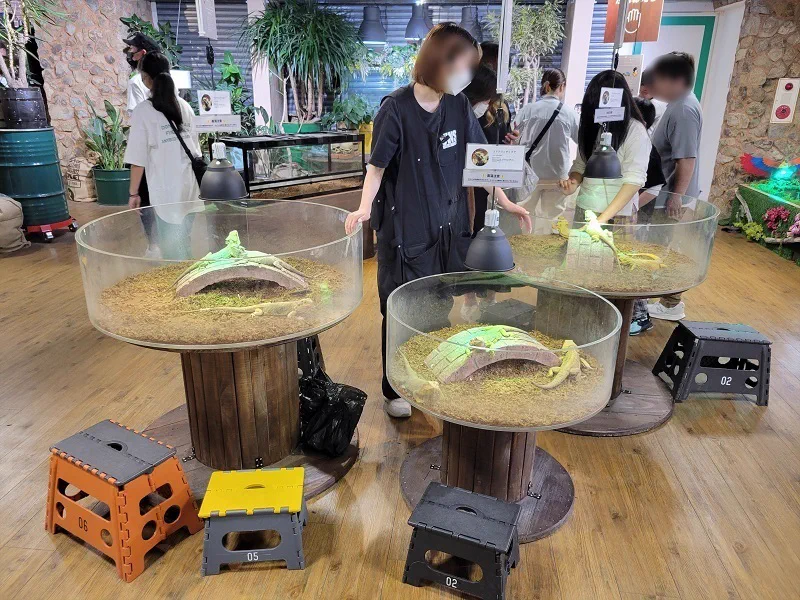 Le musée de la faune de Nara possède plusieurs aquariums ronds d'exposition de reptiles et des espaces d'observation de proximité.