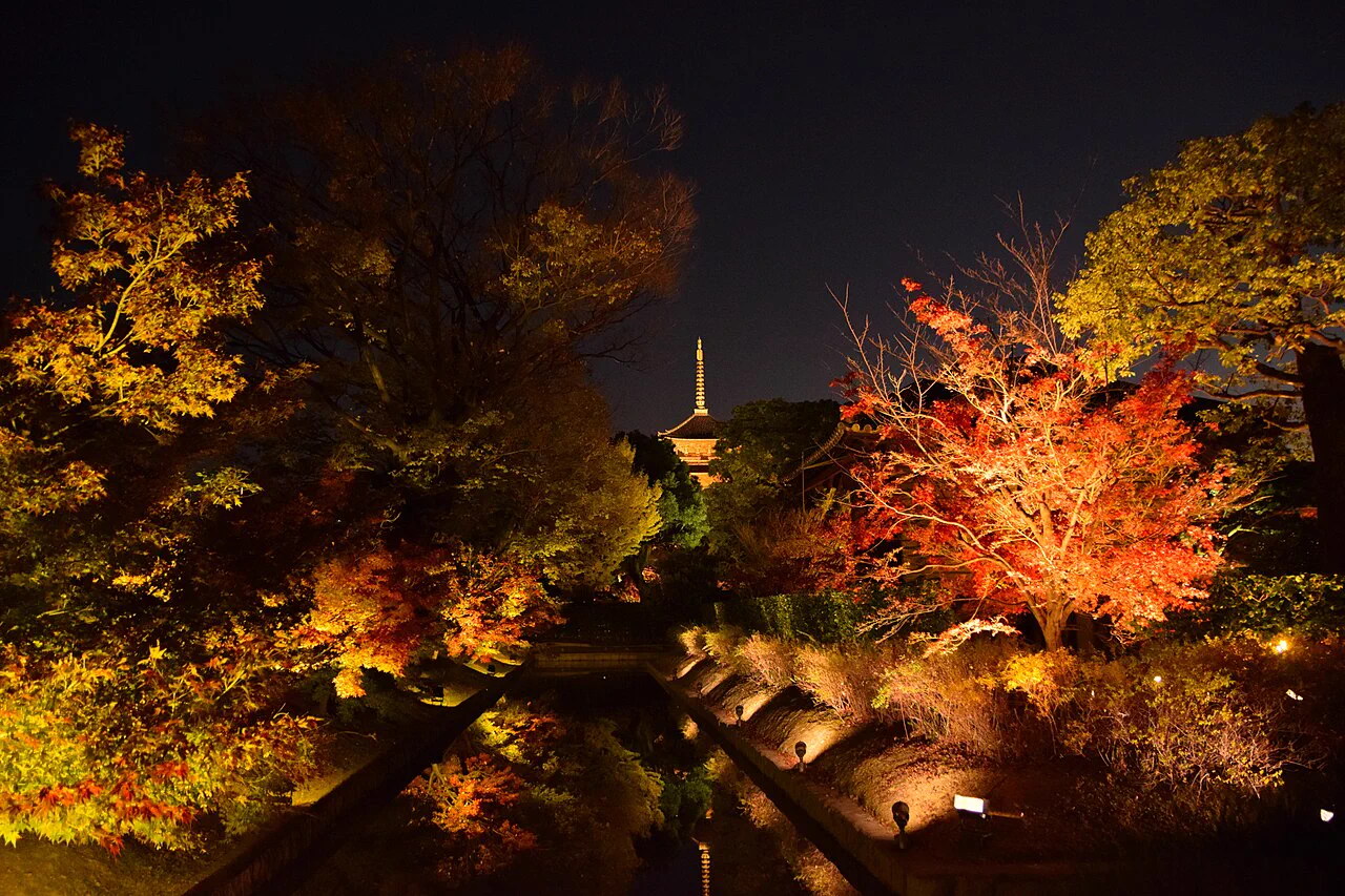Reflet du pagodon à cinq étages de Tō-ji lors de l’illumination nocturne d’automne