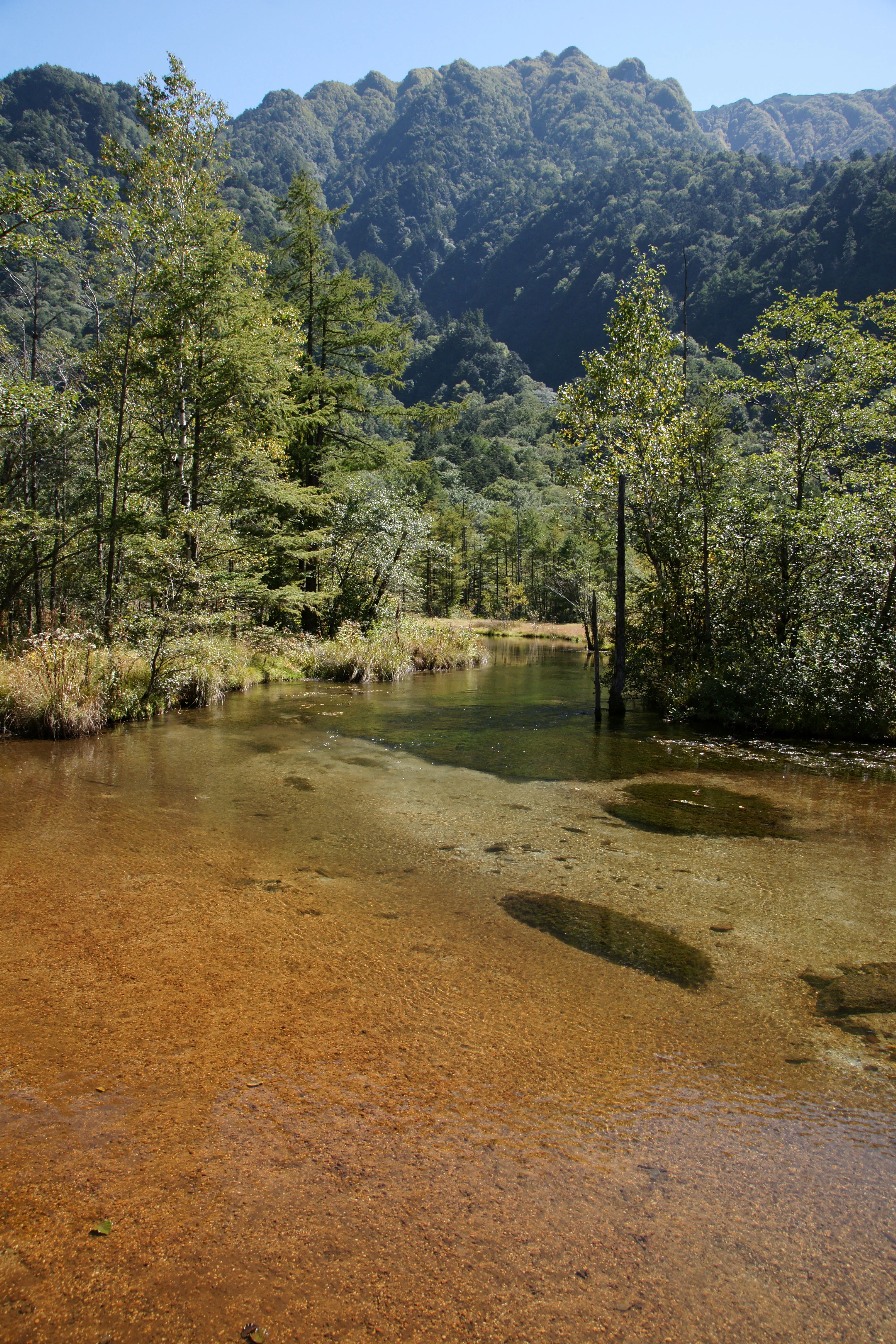 Sentier autour du Tashiro Pond et zones humides à Kamikochi