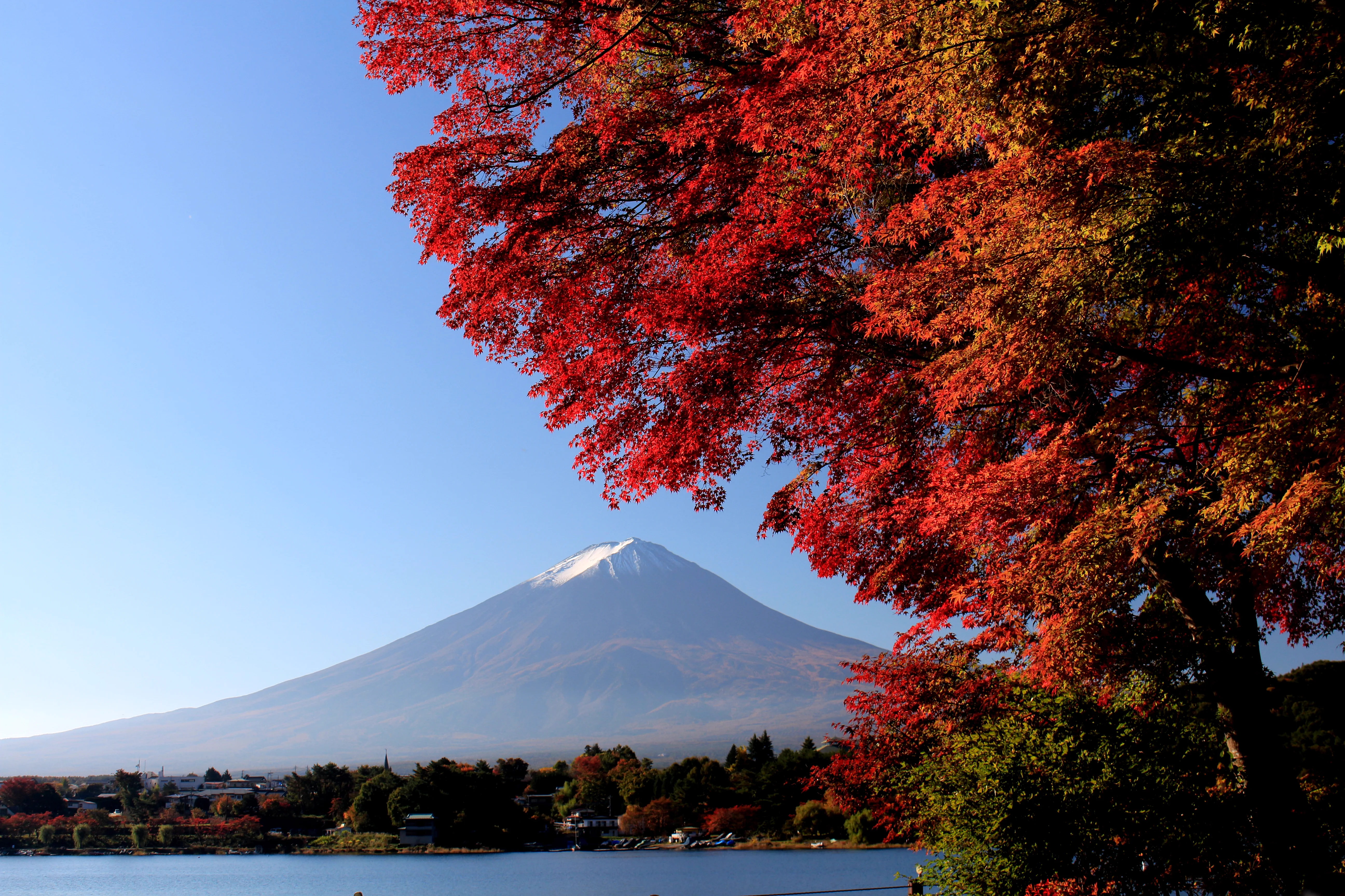 Point de vue autour du lac Kawaguchi