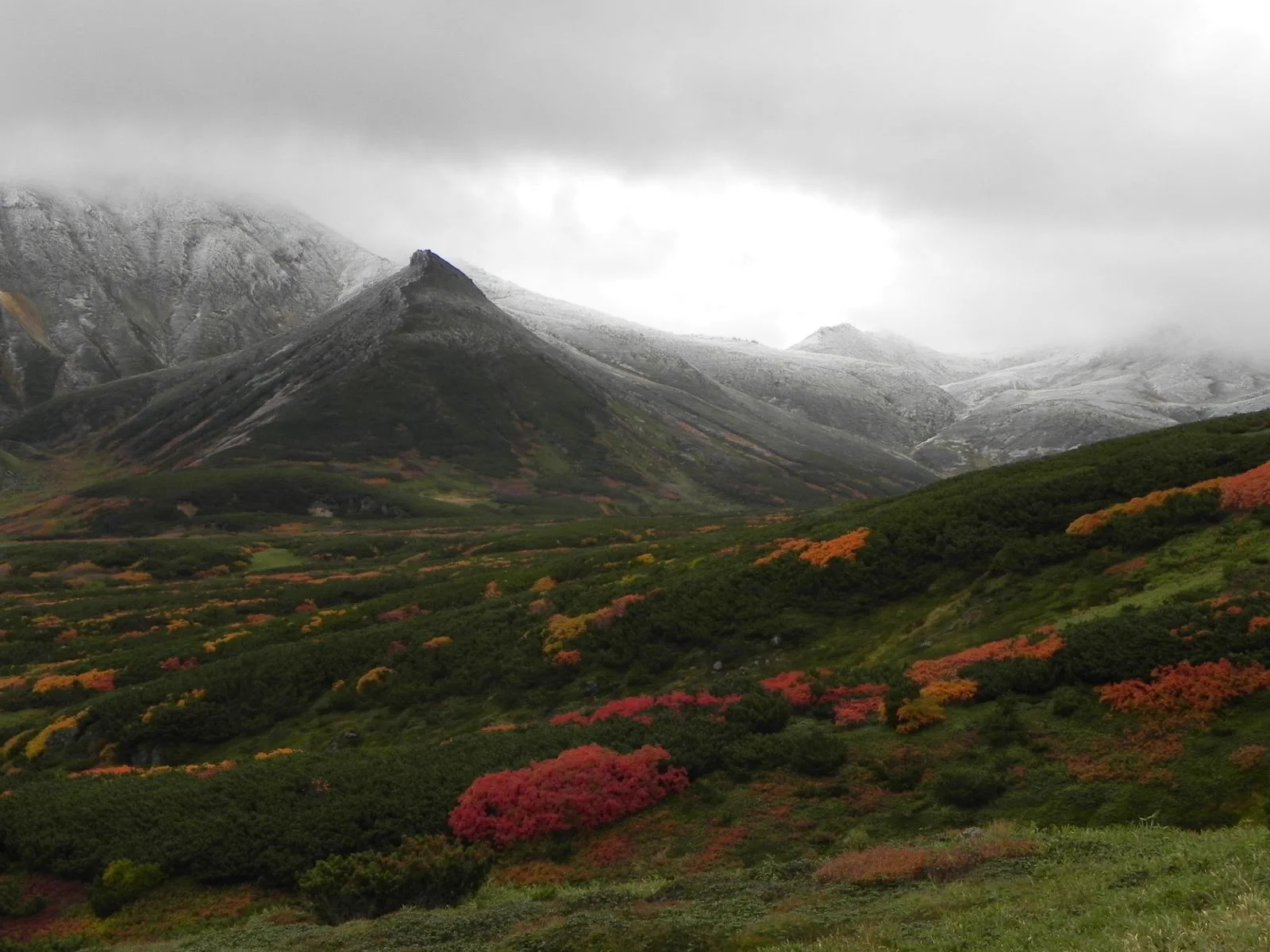 Début octobre au Japon : où voir les couleurs d’automne ?