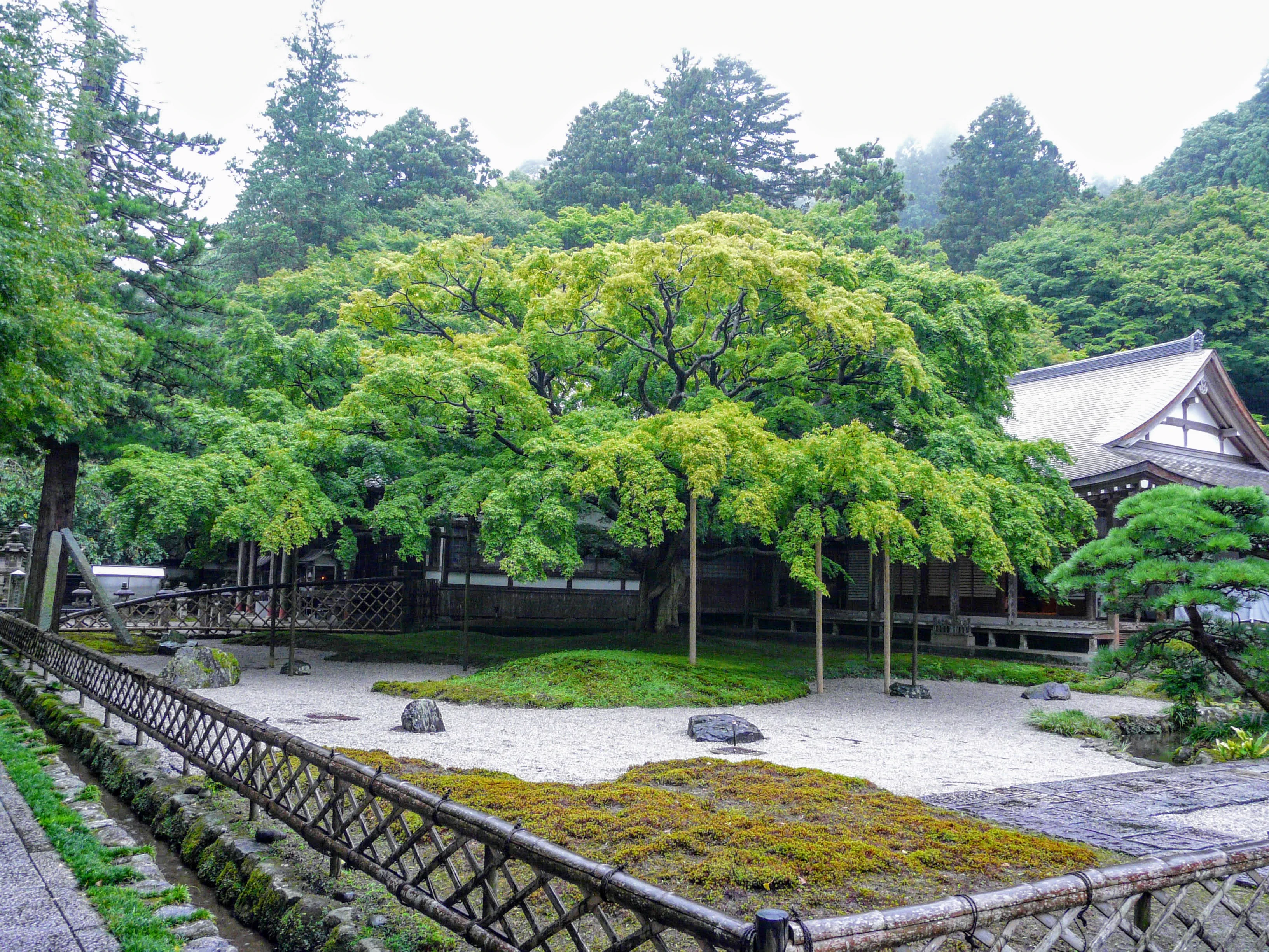 Le jardin de Chinyō-ji à Reisanzan et ses grands érables en automne nécessitent de vérifier le dernier tronçon de transport avant de partir.