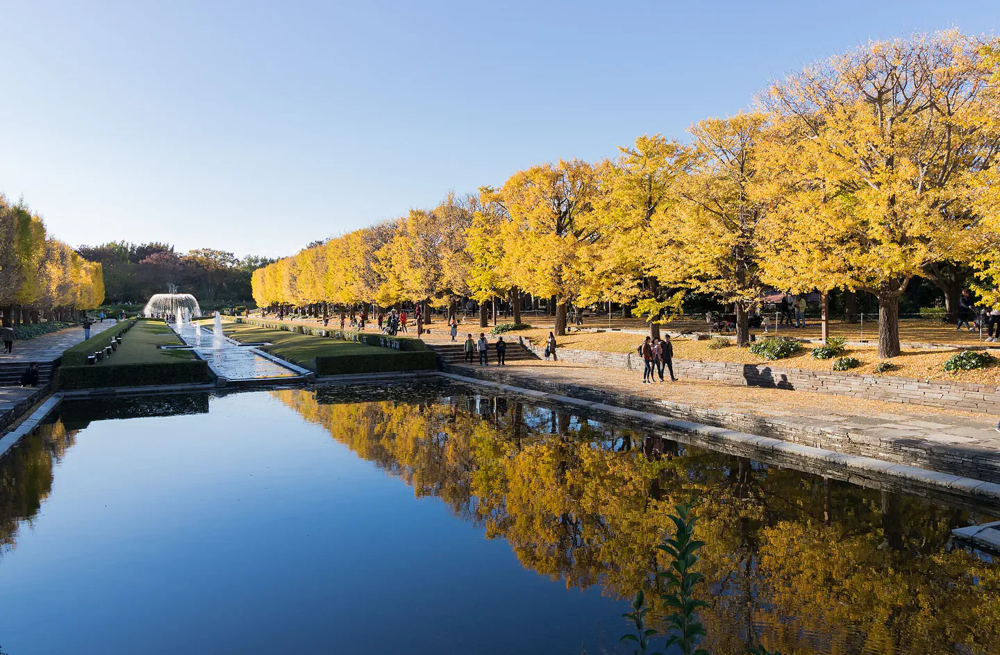 Une journée d’automne à Tokyo avec le parc Showa Memorial et ses ginkgo, combinée à une excursion en train