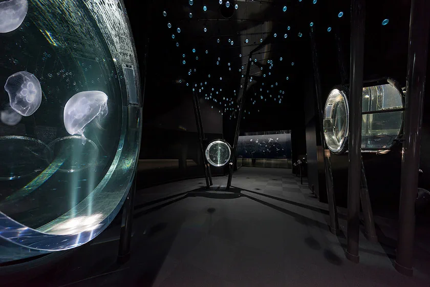 L'espace sombre de la Voie Lactée des méduses au Osaka Kaiyukan, avec des méduses flottantes