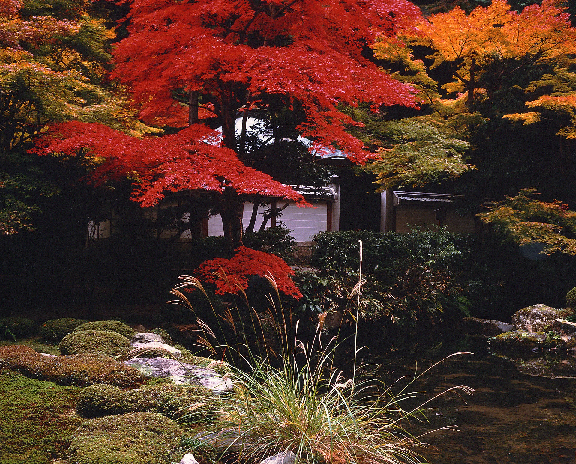 L'automne à Nanzen-ji à Kyoto, un itinéraire représentatif de la partie nord de Higashiyama incluant Kutsurogawa, Nanzen-ji, Eikan-dō et le chemin philosophique