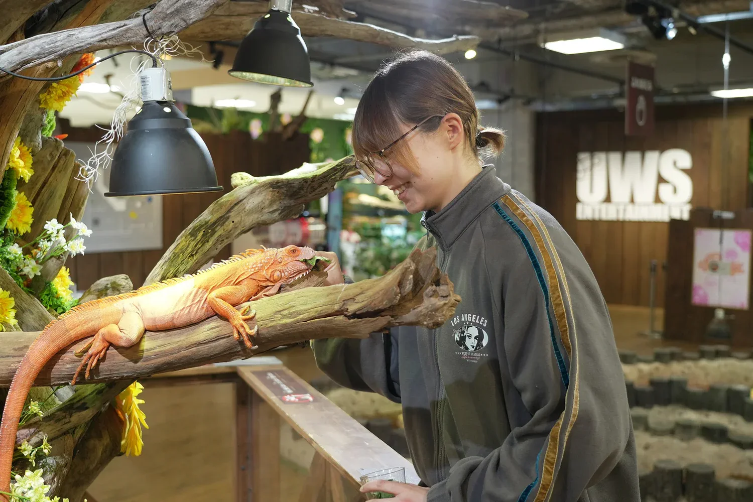 Observation rapprochée de reptiles au NARA IKIMONO MUSEUM