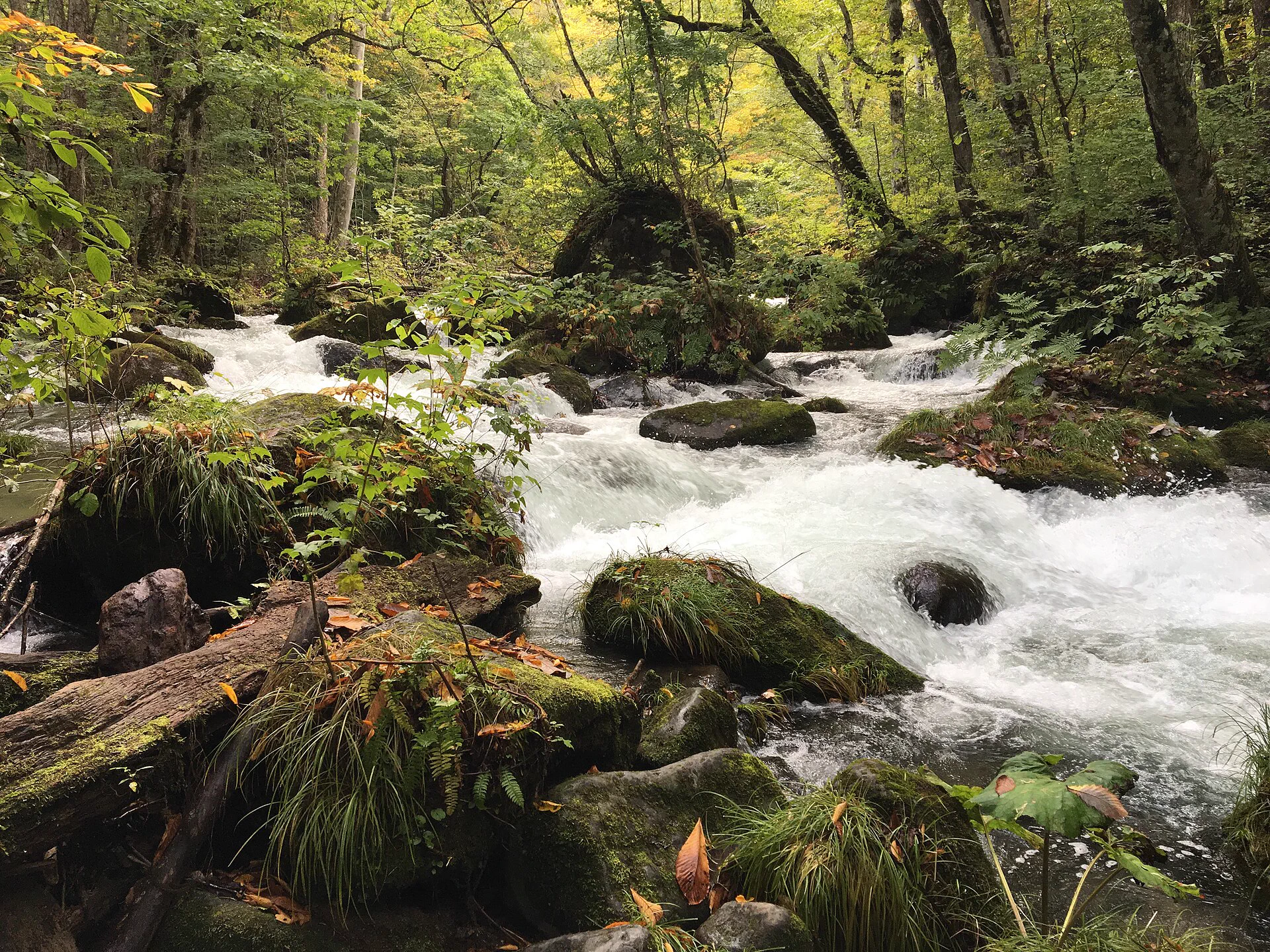 Les rochers de la forêt d'Oirase et le paysage aquatique automnal, en voiture ou en bus, il faut prévoir une alternative météo