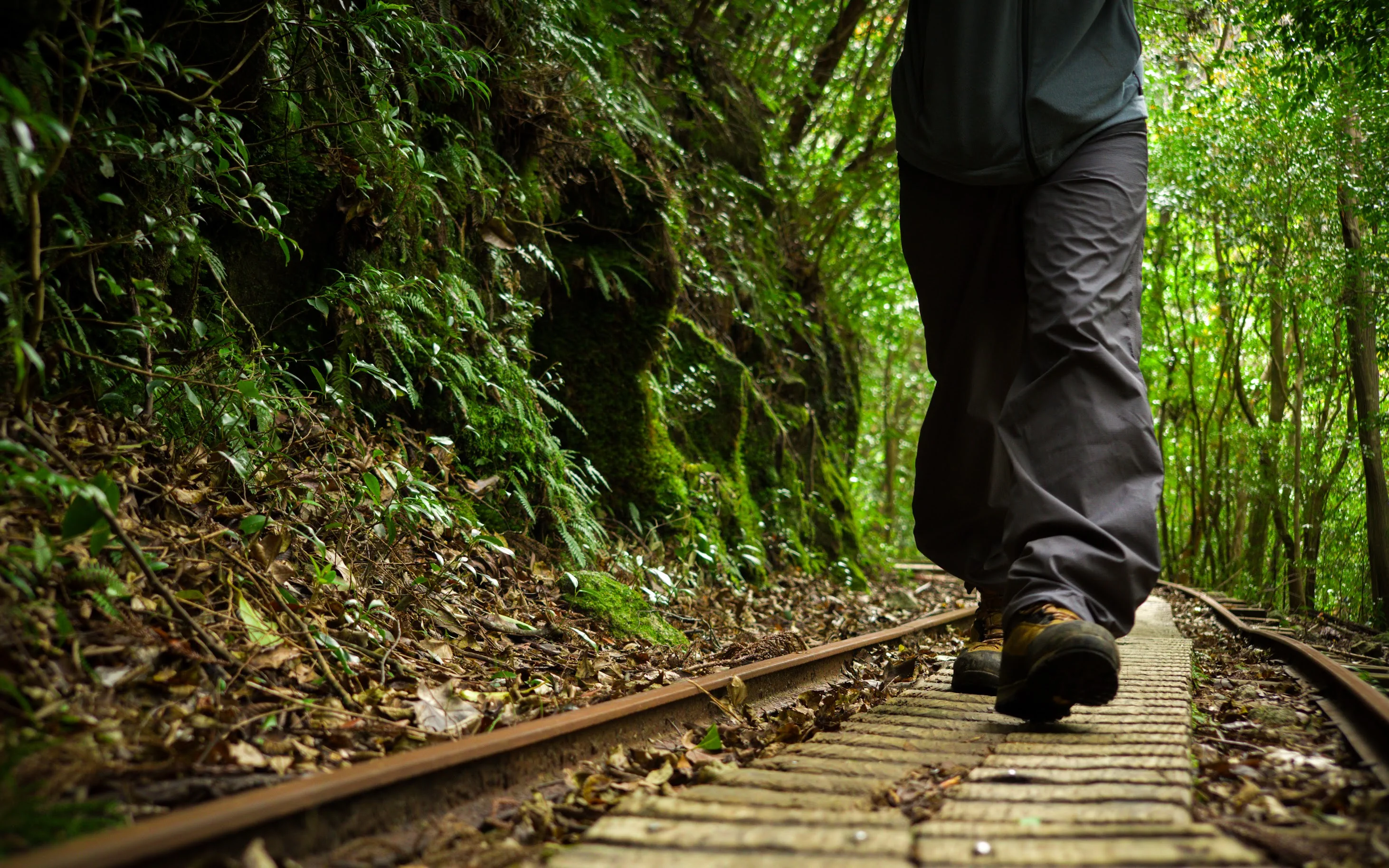 Repères de transport et de randonnée pour un séjour de cinq jours à Yakushima