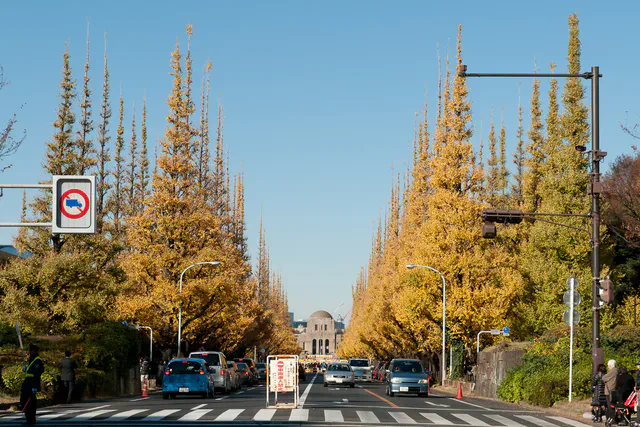 L’automne à l’avenue des ginkgo à Jingu Gaien, Tokyo, avec foule et emplacements pour la photographie