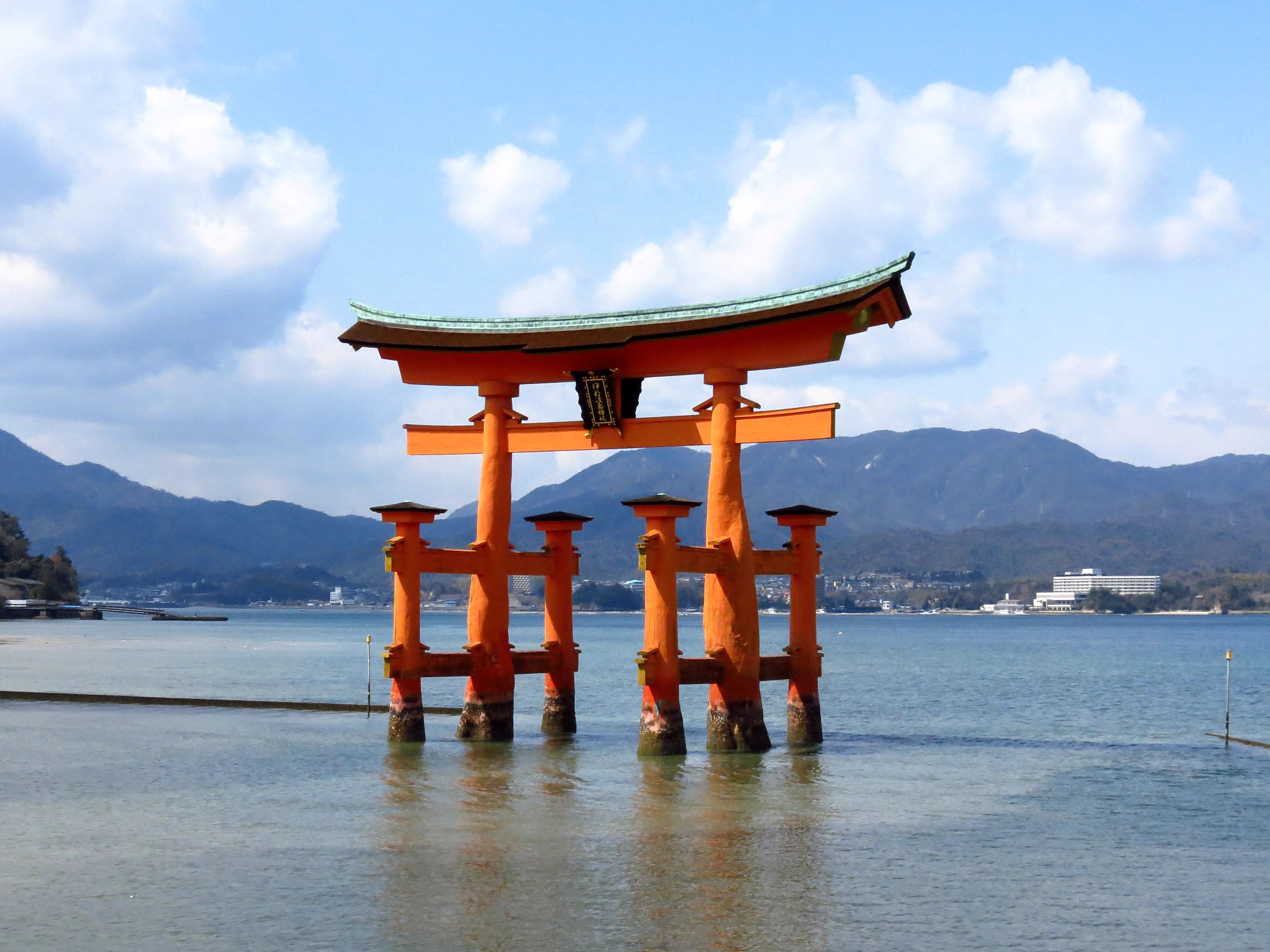 Lorsque la marée est haute à Miyajima, l'eau entoure le grand torii du sanctuaire Itsukushima, mais la marée ne reflète pas la maturité des feuilles d'érable.