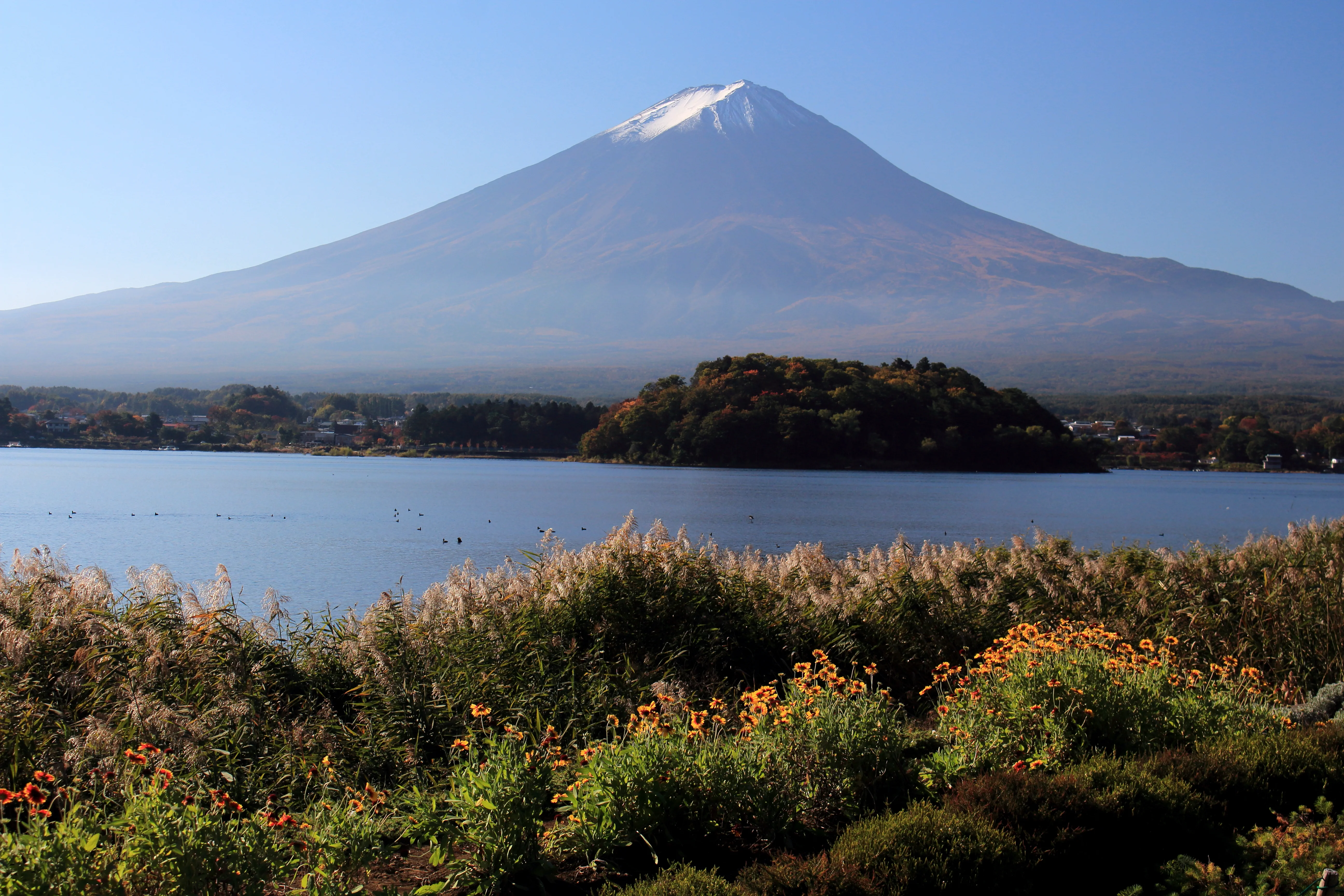 Lac Kawaguchi et mont Fuji en automne : Kawaguchiko concentre le pari sur le paysage lac, érables et Fuji