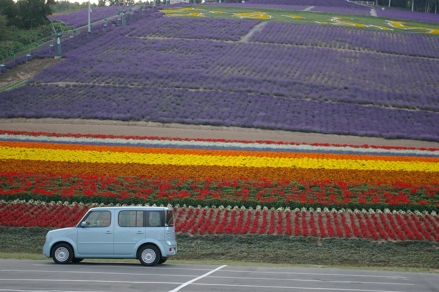 Le champ de lavande de Nakafurano, parc agricole de Nakafurano, Hokkaido
