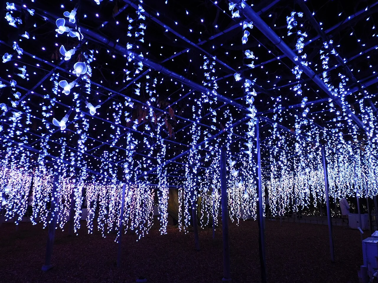Installation lumineuse Flower Fantasy dans Ashikaga Flower Park en décembre 2021