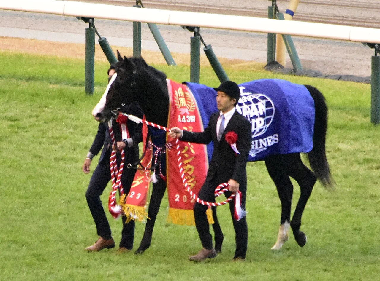 Le cheval Equinox après la Japan Cup 2023 à Tokyo Racecourse