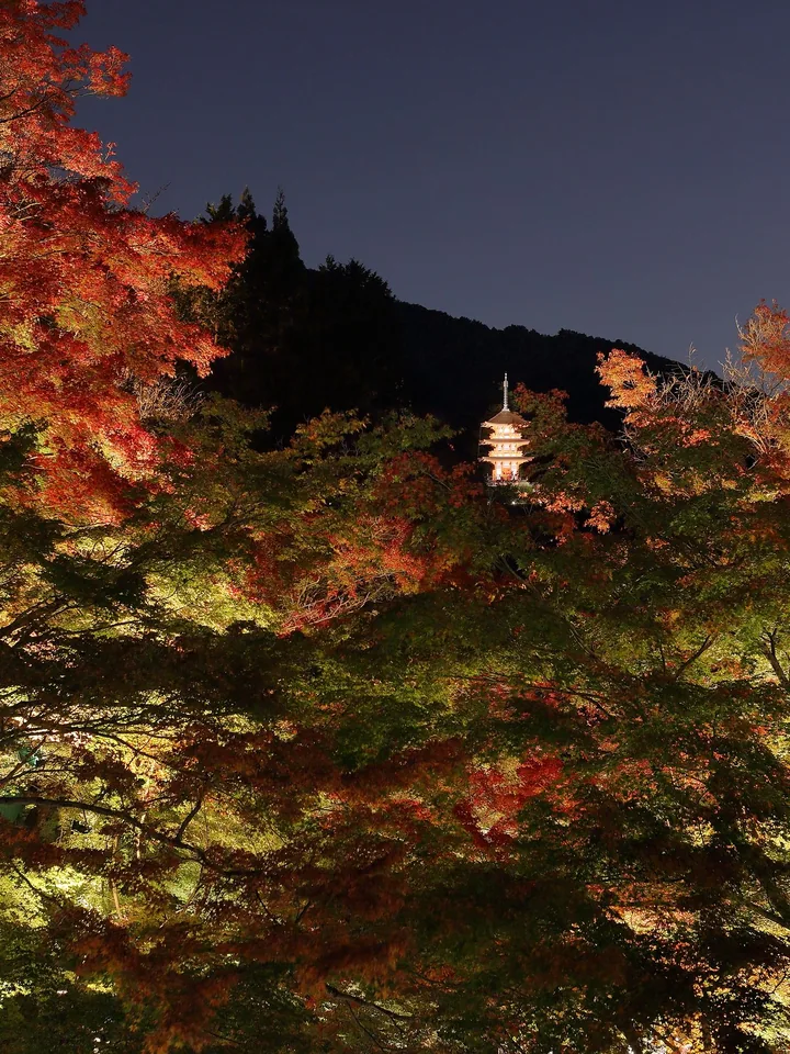 Bâtiments de Kiyomizu-dera et feuillage de novembre