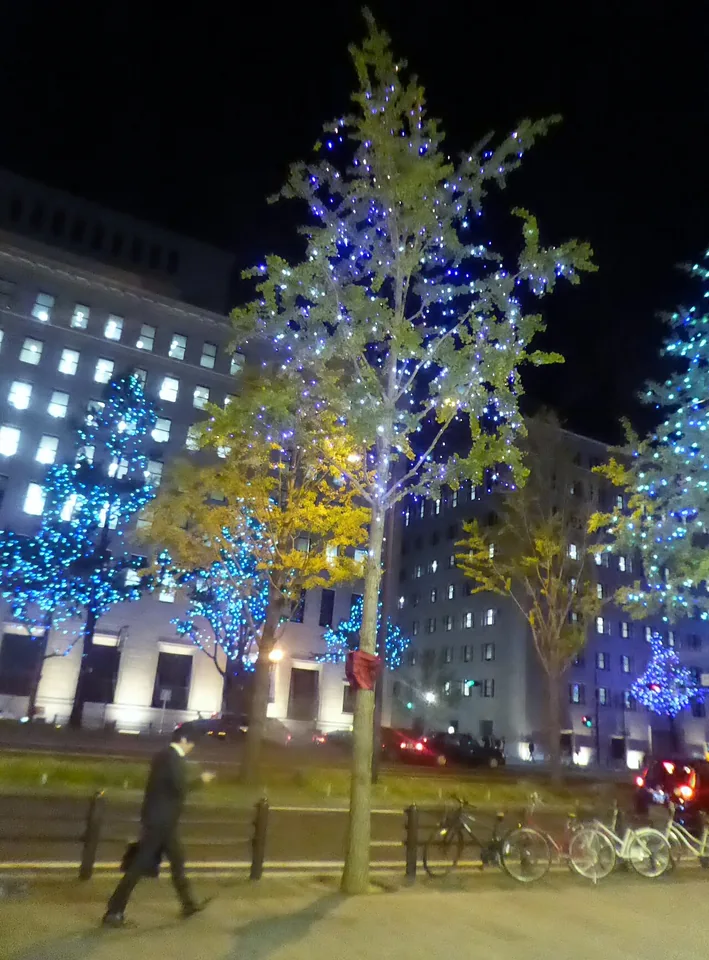 Midosuji illuminé en novembre 2026 : quel tronçon parcourir et où dormir ?