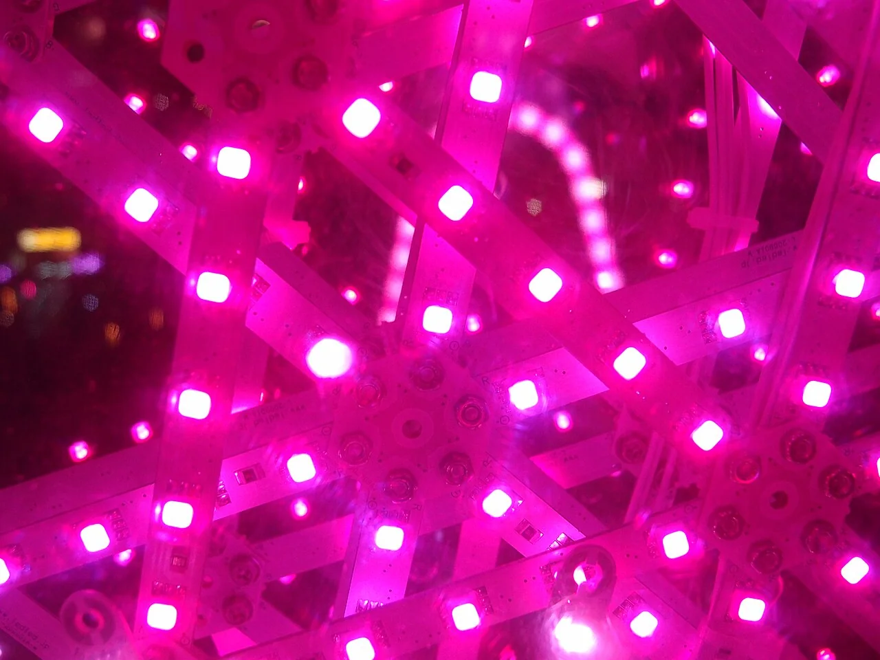 Détail de lumières roses à Tokyo Dome City en décembre 2013